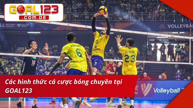 Bóng Chuyền GOAL123: Địa Chỉ Bet Kèo Uy Tín Cho Mọi Cược Thủ 3 Cược Bóng Chuyền cùng đa dạng loại kèo