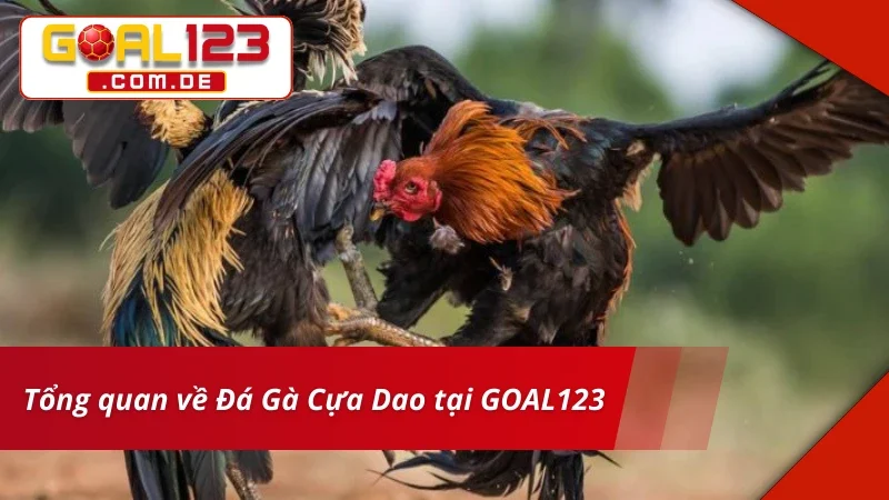 Đá Gà Cựa Dao GOAL123: Chinh Phục Những Kèo Gà Chọi Máu Lửa 2 Đôi nét về trải nghiệm Đá Gà Cựa Dao tại nhà cái