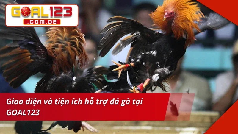 Đá Gà Cựa Dao GOAL123: Chinh Phục Những Kèo Gà Chọi Máu Lửa 3 Giao diện sảnh vào kèo Đá Gà Cựa Dao xịn sò
