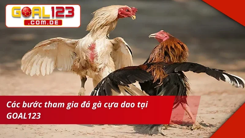 Đá Gà Cựa Dao GOAL123: Chinh Phục Những Kèo Gà Chọi Máu Lửa 4 Tân thủ vào kèo Đá Gà Cựa Dao siêu đơn giản