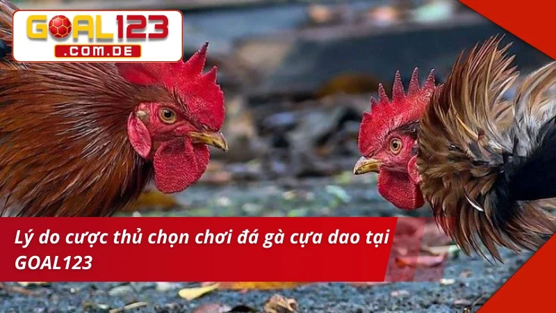 Đá Gà Cựa Dao GOAL123: Chinh Phục Những Kèo Gà Chọi Máu Lửa 5 Trải nghiệm bùng nổ cùng siêu phẩm Đá Gà Cựa Dao