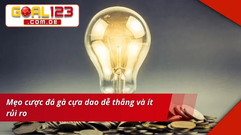Đá Gà Cựa Dao GOAL123: Chinh Phục Những Kèo Gà Chọi Máu Lửa 6 Mẹo chinh phục thắng lớn cùng Đá Gà Cựa Dao
