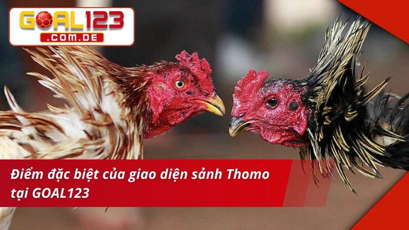 Đá Gà Thomo GOAL123: Cá Cược Cùng Trường Gà Siêu Uy Tín 3 Giao diện sảnh vào kèo Đá Gà Thomo xịn sò