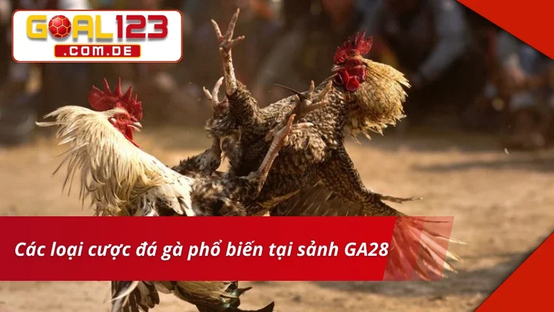 GA28 Đá Gà GOAL123 – Sảnh Cược Chất Lượng Xem Live Siêu Nét 4 Cá cược chuẩn kèo cùng GA28 Đá Gà