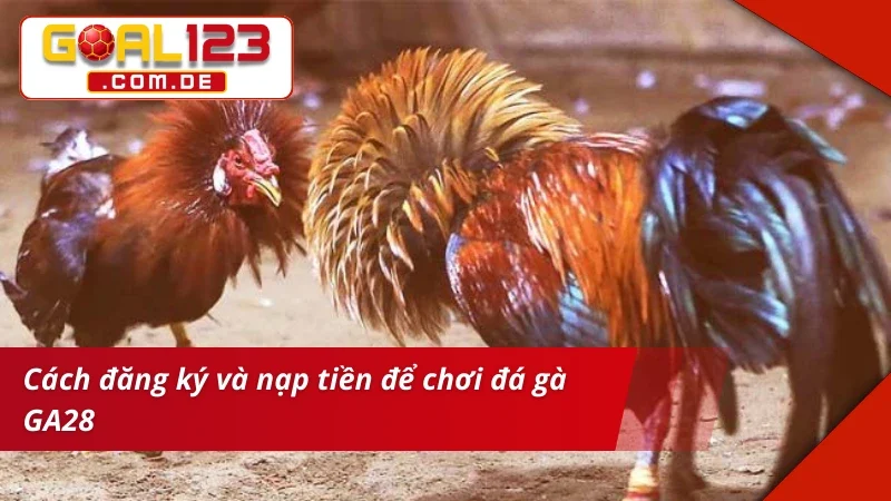 GA28 Đá Gà GOAL123 – Sảnh Cược Chất Lượng Xem Live Siêu Nét 5 Tạo lập và nạp tiền nhanh để vào chơi GA28 Đá Gà
