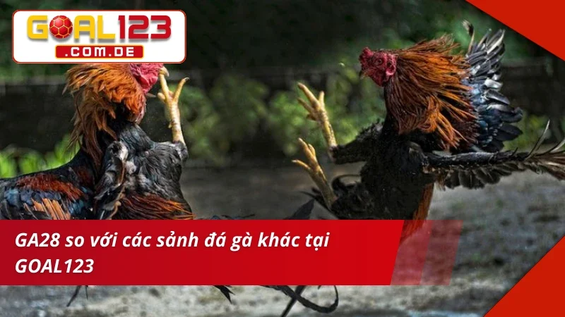 GA28 Đá Gà GOAL123 – Sảnh Cược Chất Lượng Xem Live Siêu Nét 7 GA28 Đá Gà đỉnh cao hợp với mọi đối tượng cược thủ
